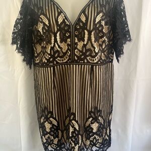 Rosegal Black Lace Overlay Dress
